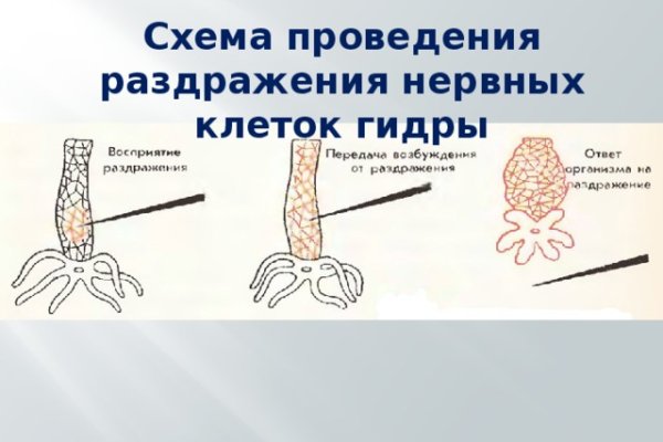 Как найти актуальную ссылку на кракен