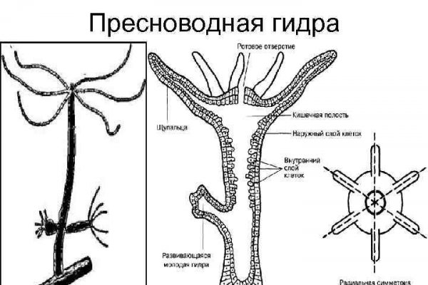 Кракен супернет зеркало пв