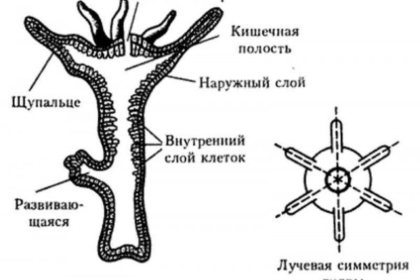 Кракен супернет войти