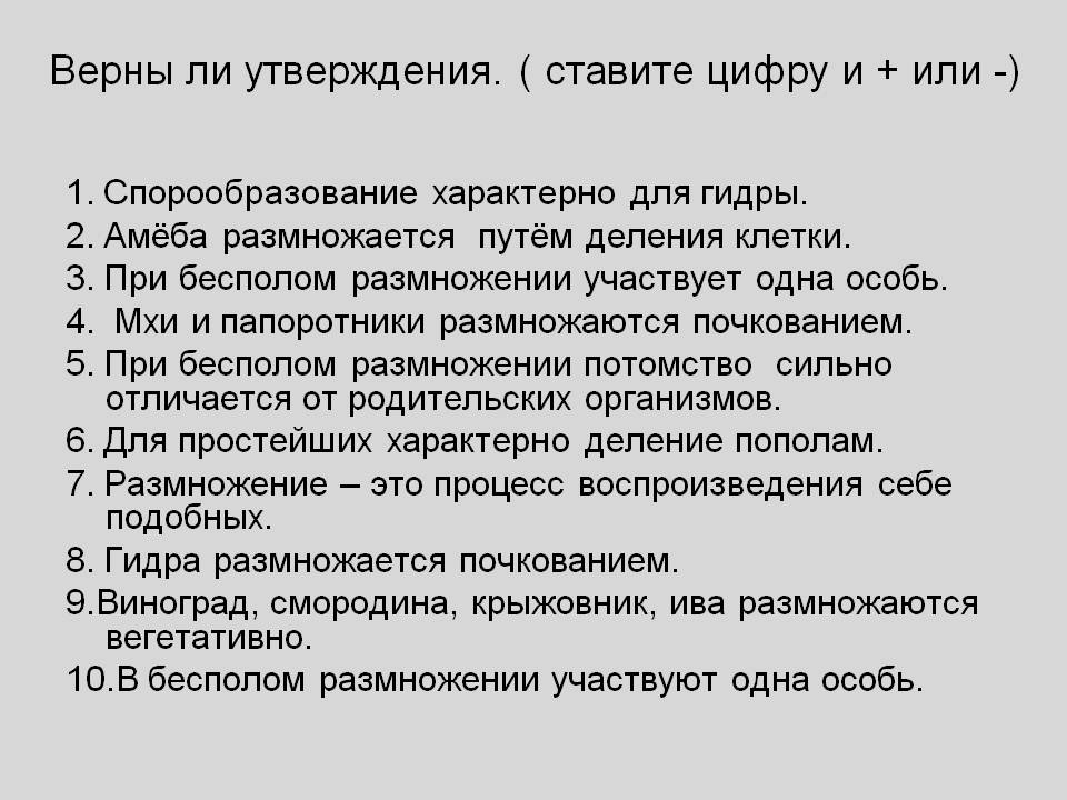 Kraken зеркало kraken link top